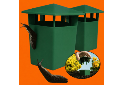 Pest Kontrol Slug & Snail Traps